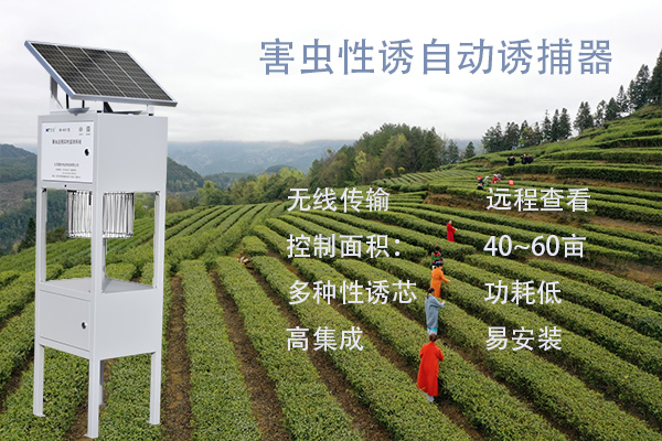 害蟲性誘智能測報(bào)系統(tǒng)圖片1 害蟲性誘智能測報(bào)系統(tǒng)圖片1